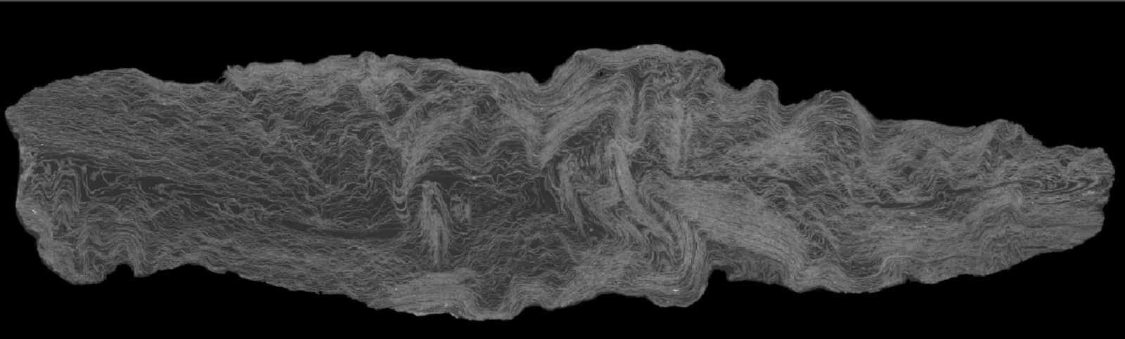 Banner artwork of a carbonised Herculaneum papyrus scroll reconstructed from a high-resolution X-ray CT scan